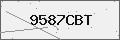 Verification Code Image